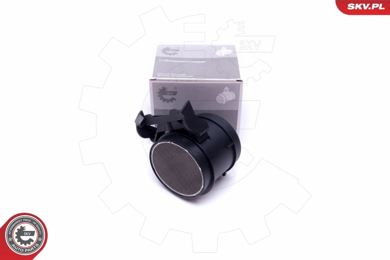 Mass Air Flow Sensor